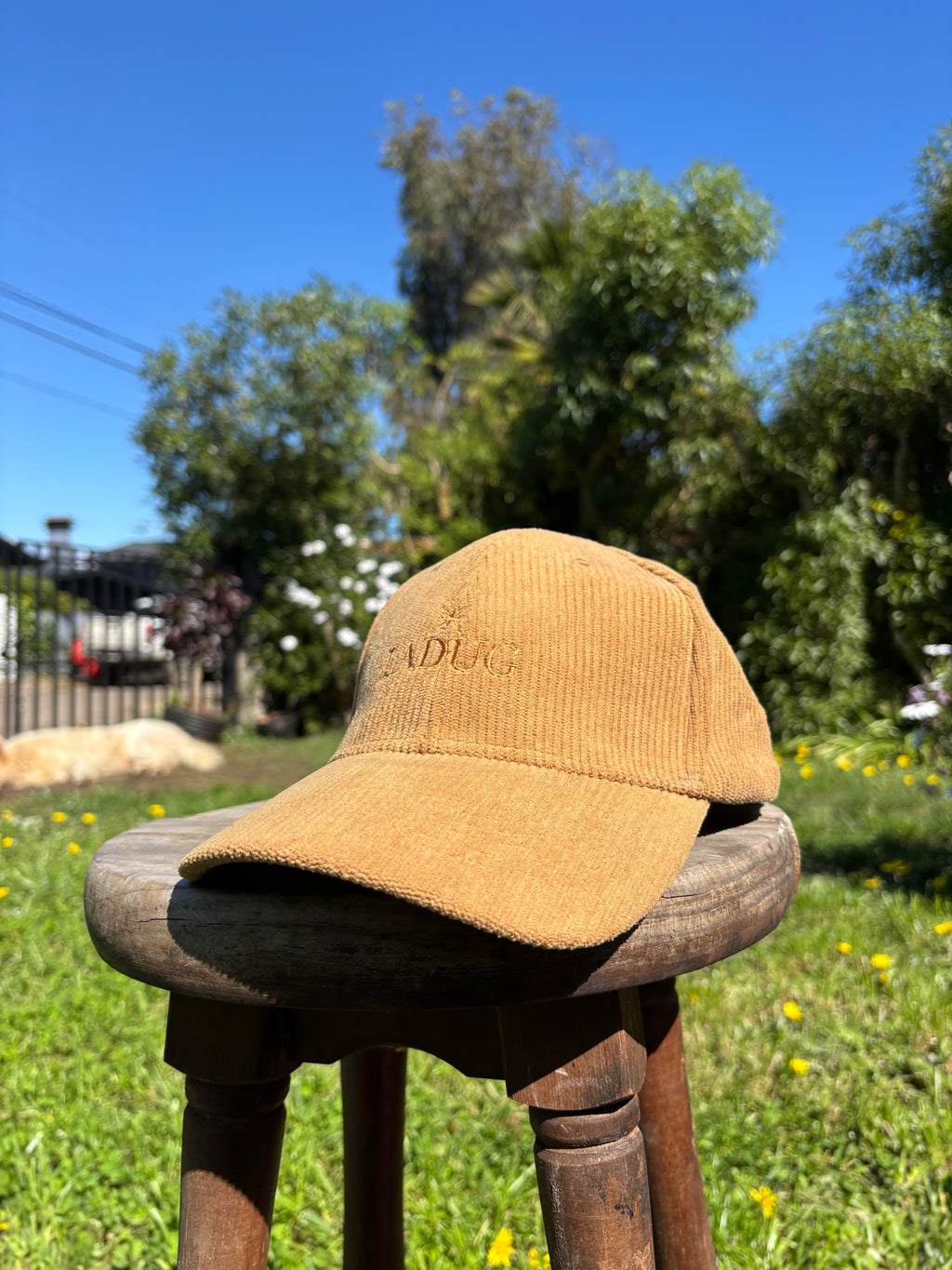 Gorra Cafe  | LVDUG®
