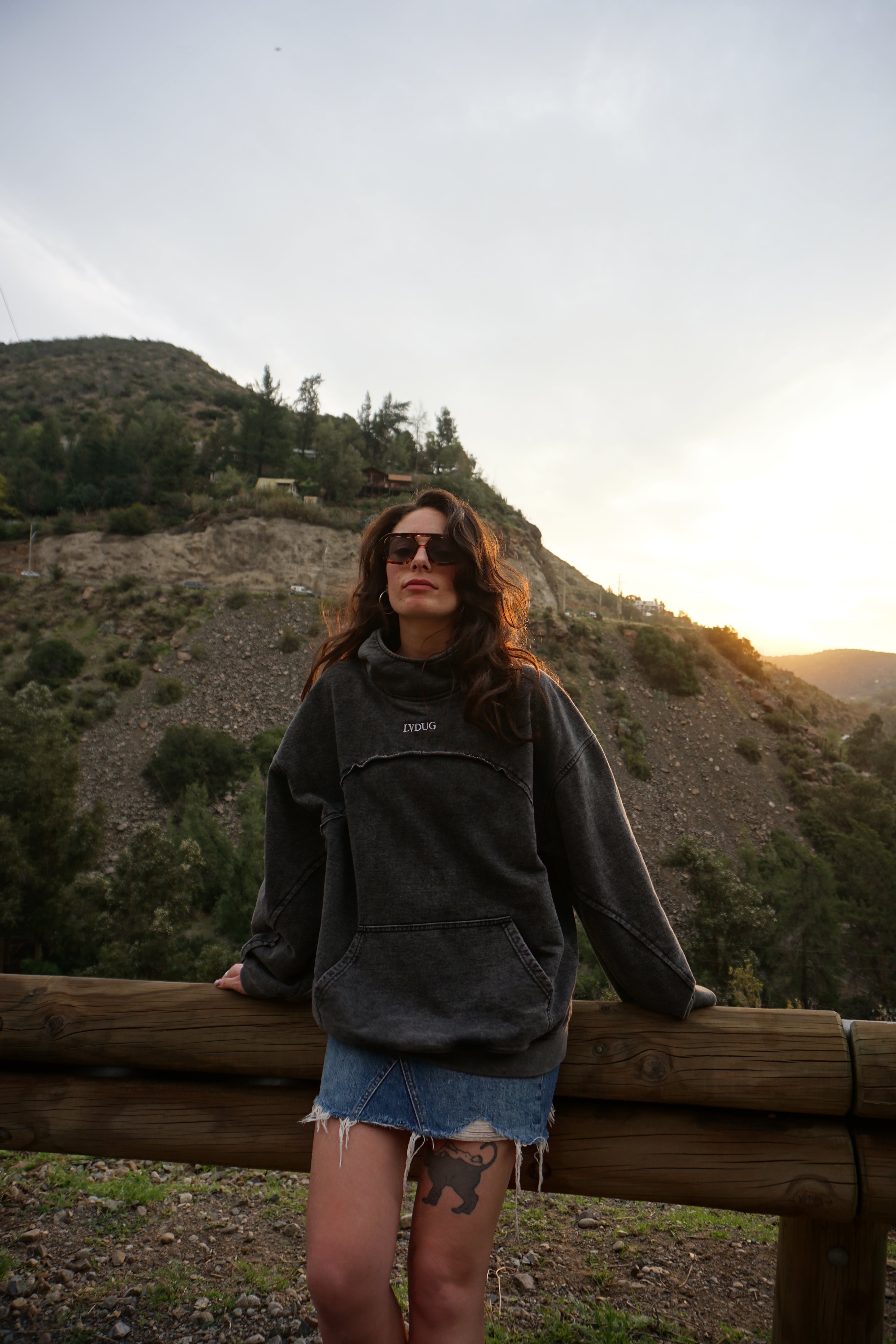 Poleron Heavyweight Hoodie Neck Gris| LVDUG®
