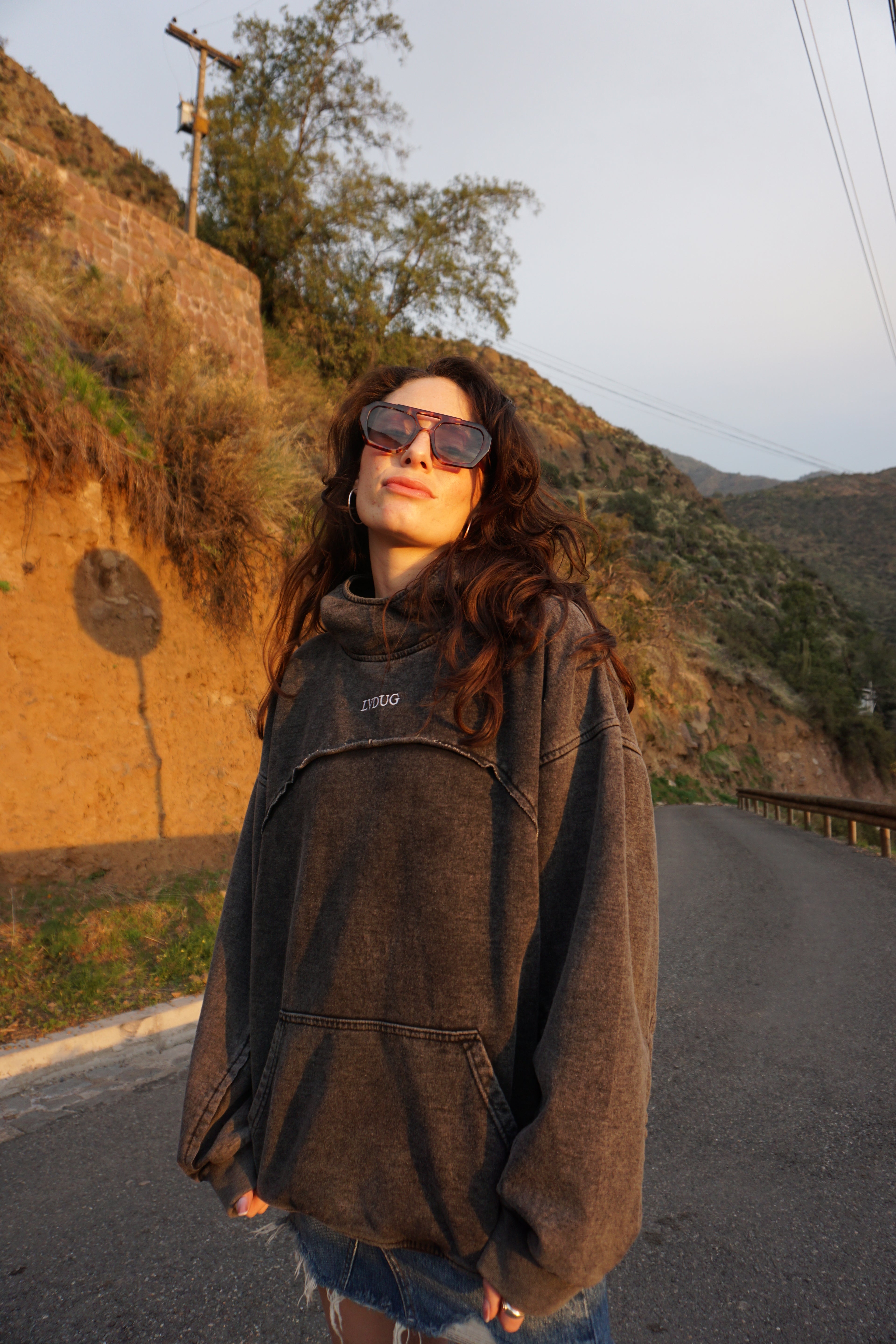 Poleron Heavyweight Hoodie Neck Gris| LVDUG®