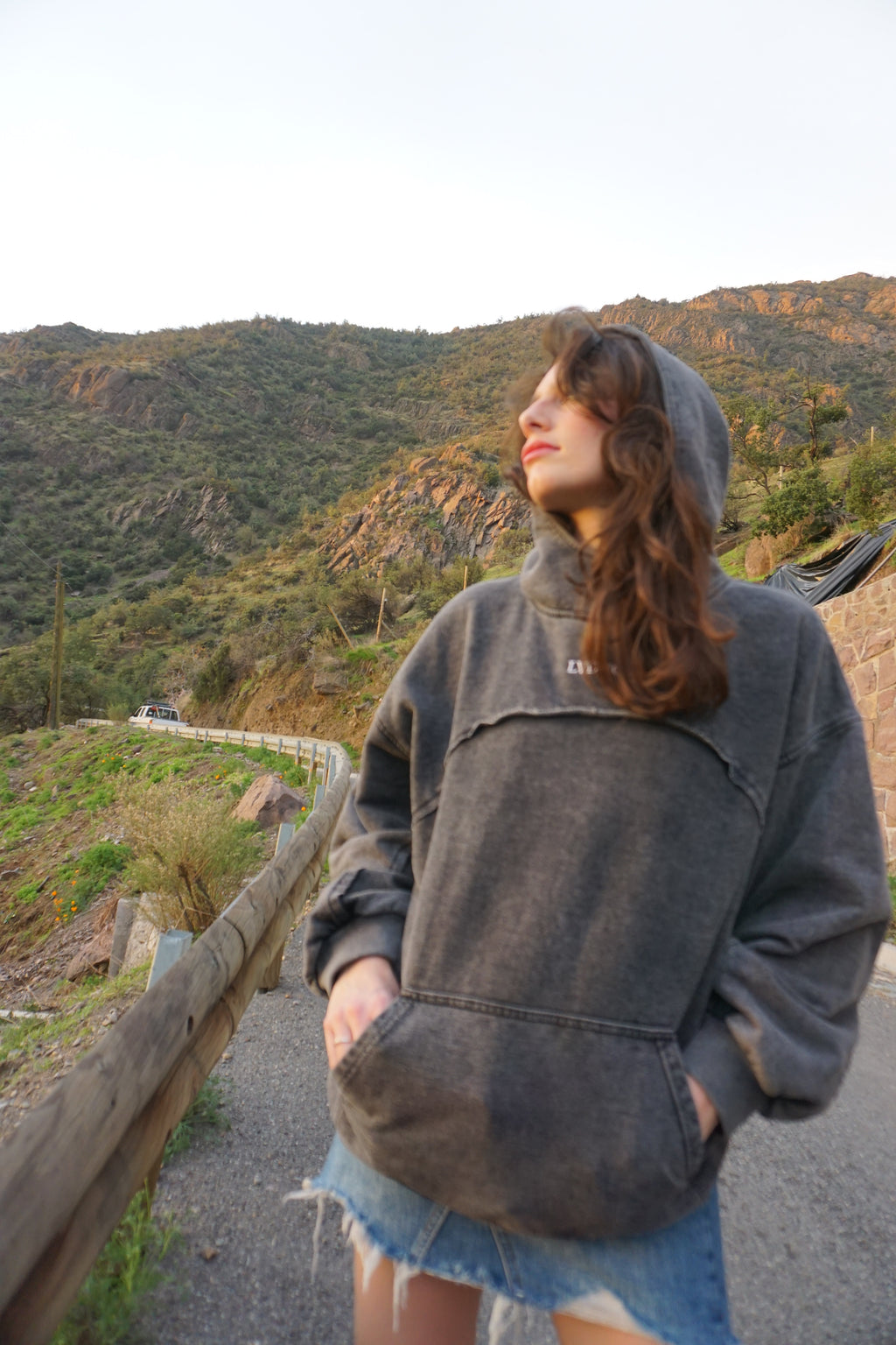Poleron Heavyweight Hoodie Neck Gris| LVDUG®