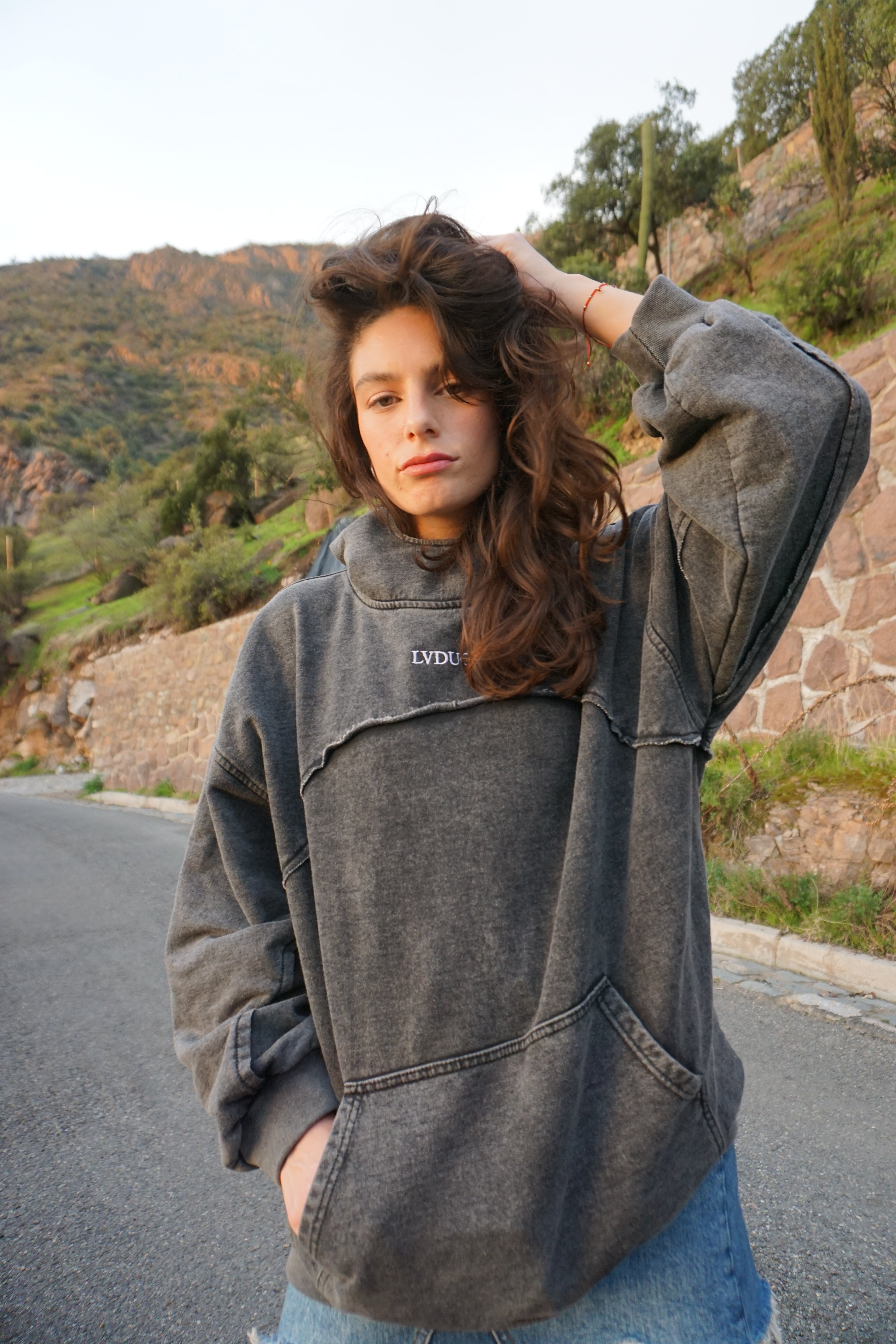 Poleron Heavyweight Hoodie Neck Gris| LVDUG®
